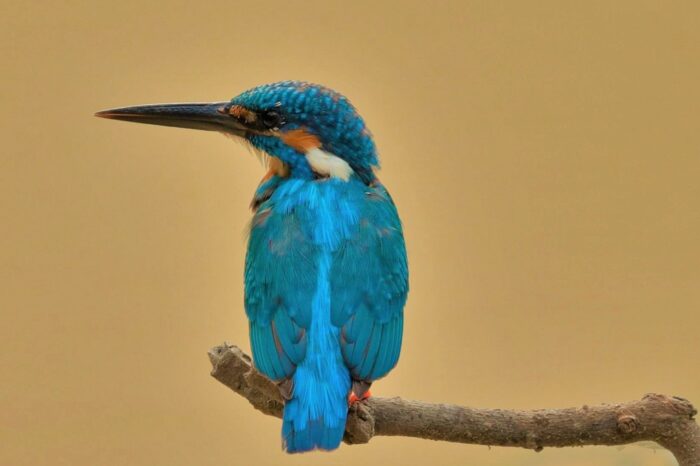 Wilpattu National Park